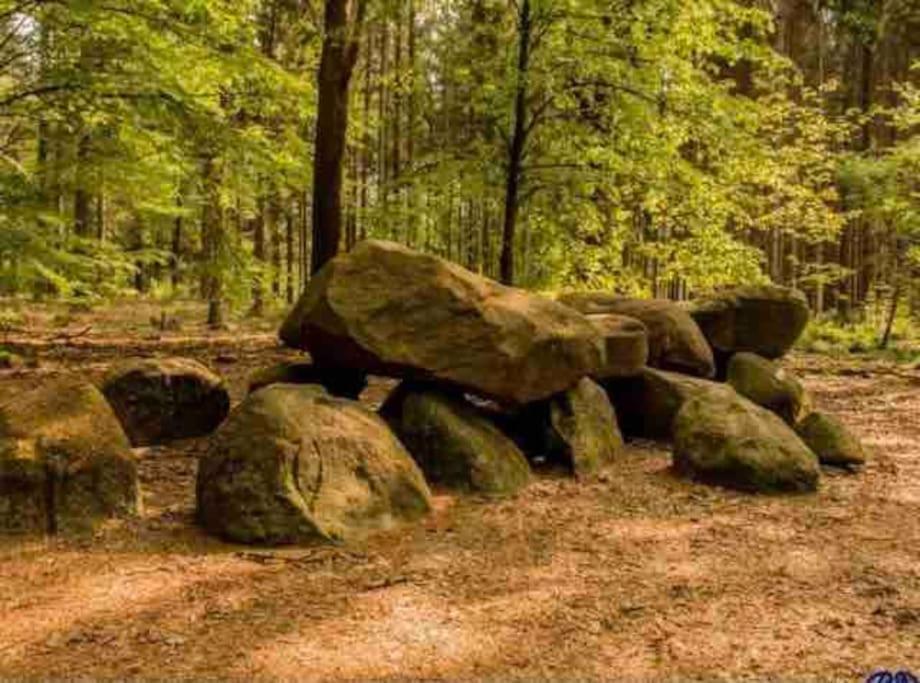 Chalet Midden In De Natuur! Anloo Exterior foto